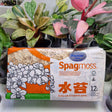 Spagmoss BESGROW 150g PREMIER