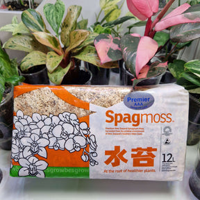 Spagmoss BESGROW 150g PREMIER