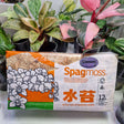 Spagmoss BESGROW 150g CLASSIC