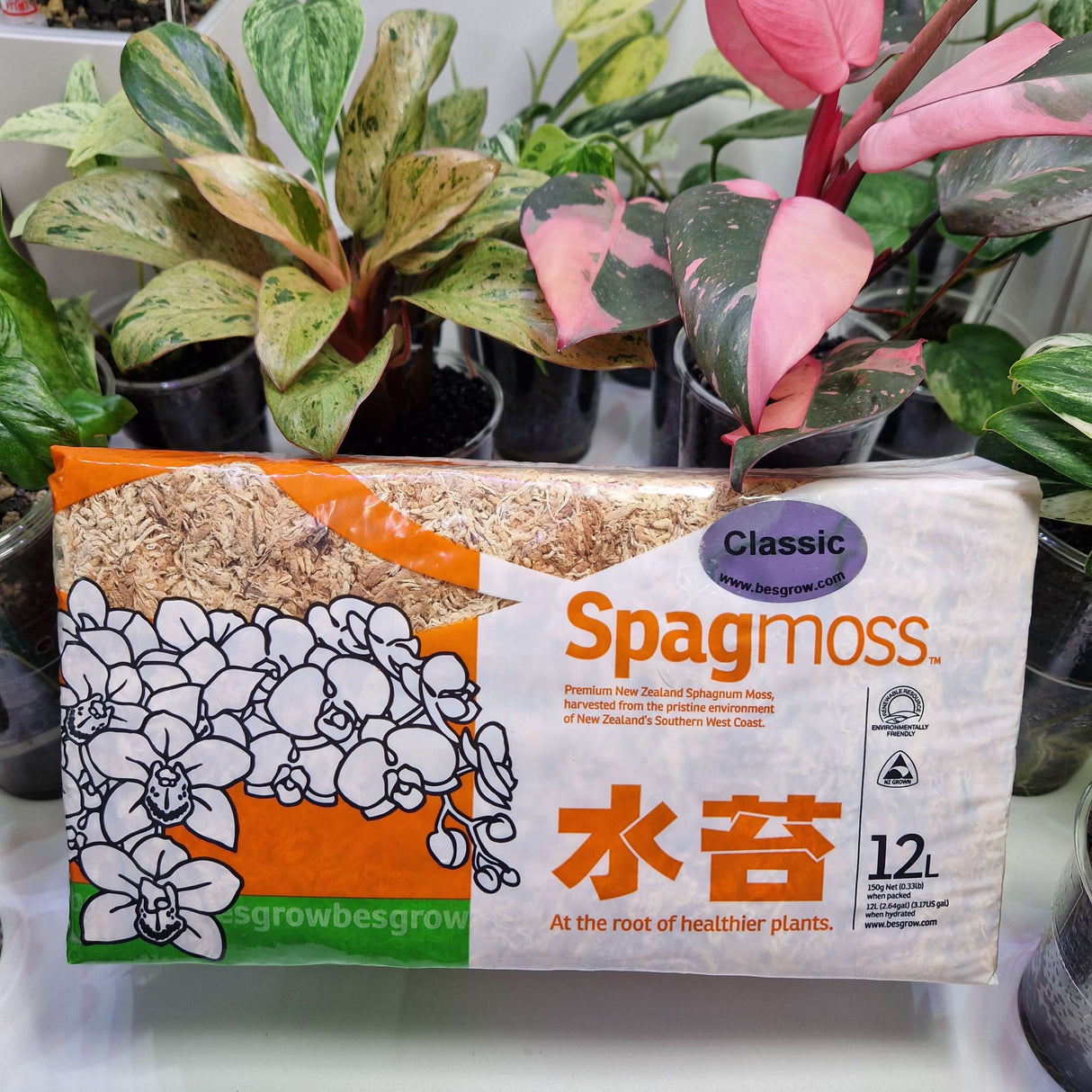 Spagmoss BESGROW 150g CLASSIC